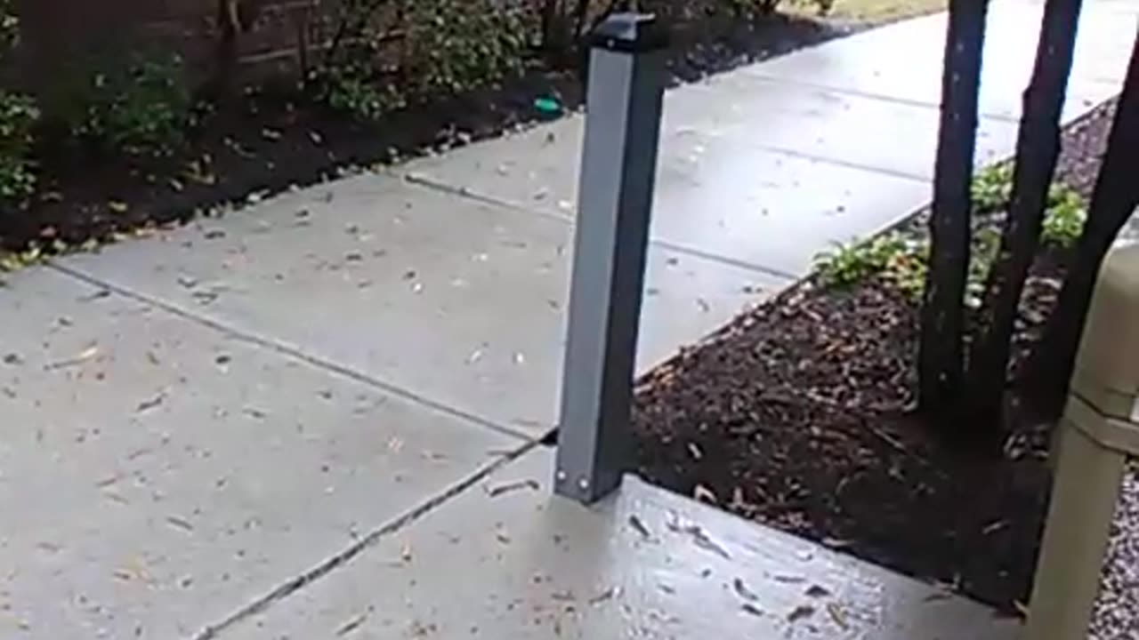 Michael Tokars is in HELL. Until the Second Coming! #warning #viral #truth