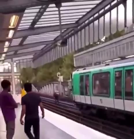A North African migrant blocks a train in Paris and starts throwing stones while shouting Allahu Ak