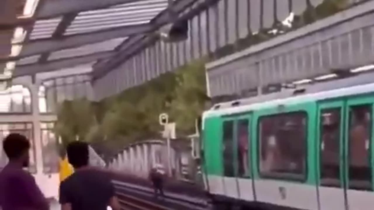 A North African migrant blocks a train in Paris and starts throwing stones while shouting Allahu Ak