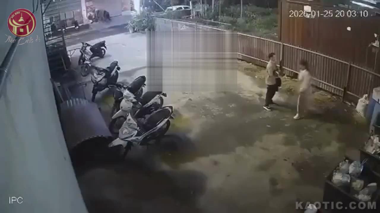 not her, stab-brother