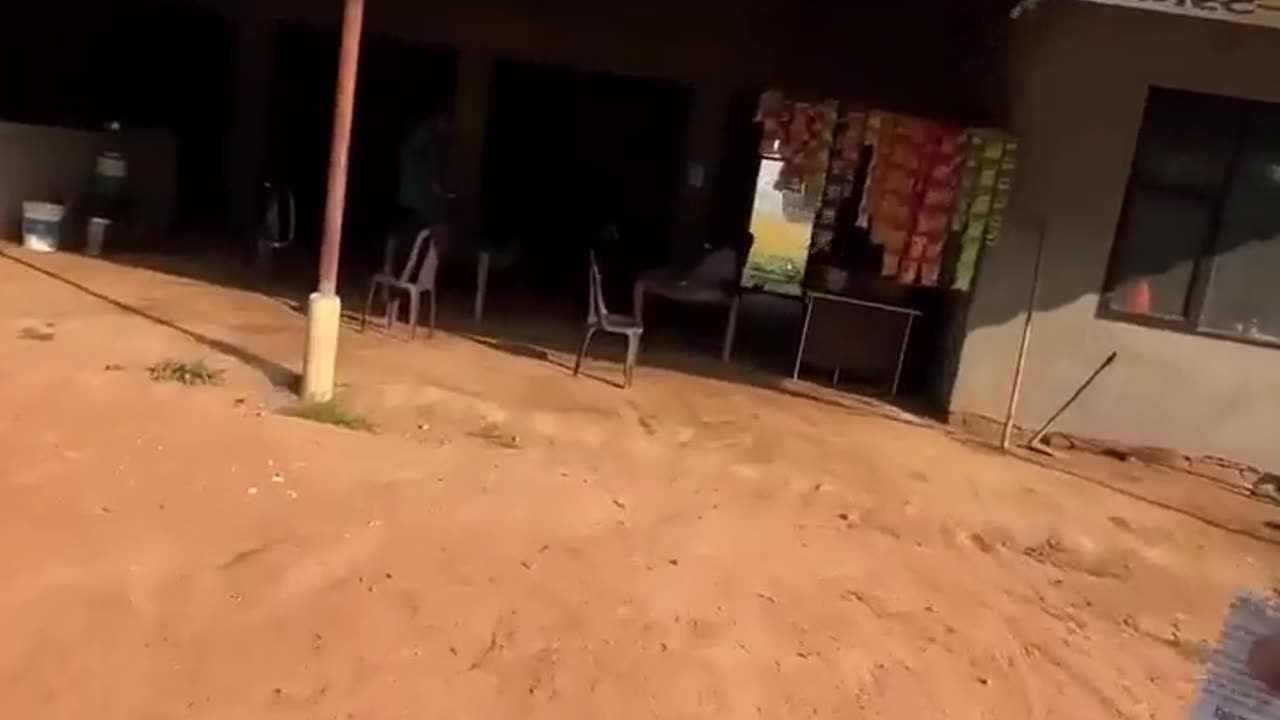 🤯🗞️ You Won't Believe This Paper Boy's Incredible Routine in India! | FeedMyCuriosity