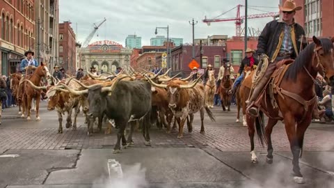 The TERRIFYING Last Minutes of Bull Rider Mason Lowe