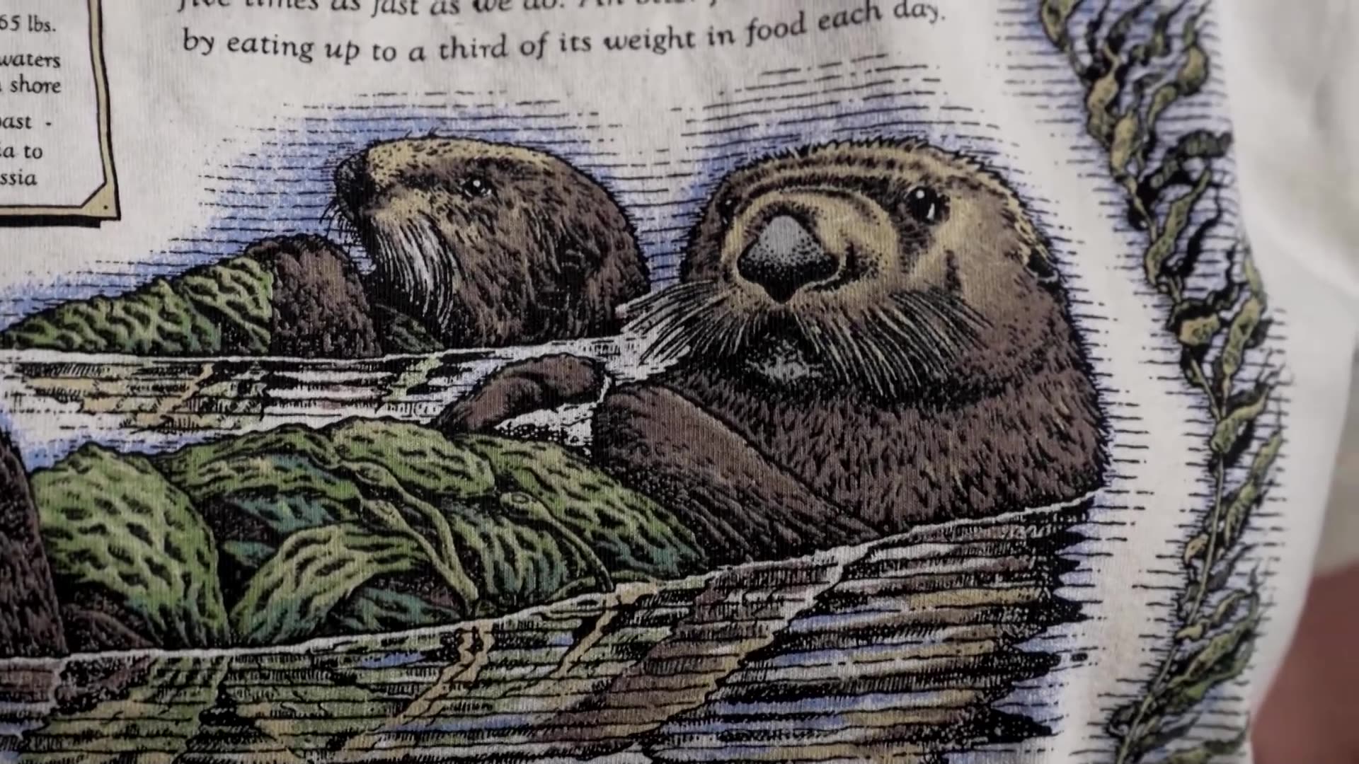 Aquarium raises $2.2 million with otter shirt worn by Taylor Swift