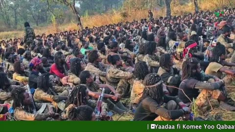 Gabaasa Tarkaanfii ONM-ABO Onkoloolessa 25 -2025 itti dhiyaadhaa!