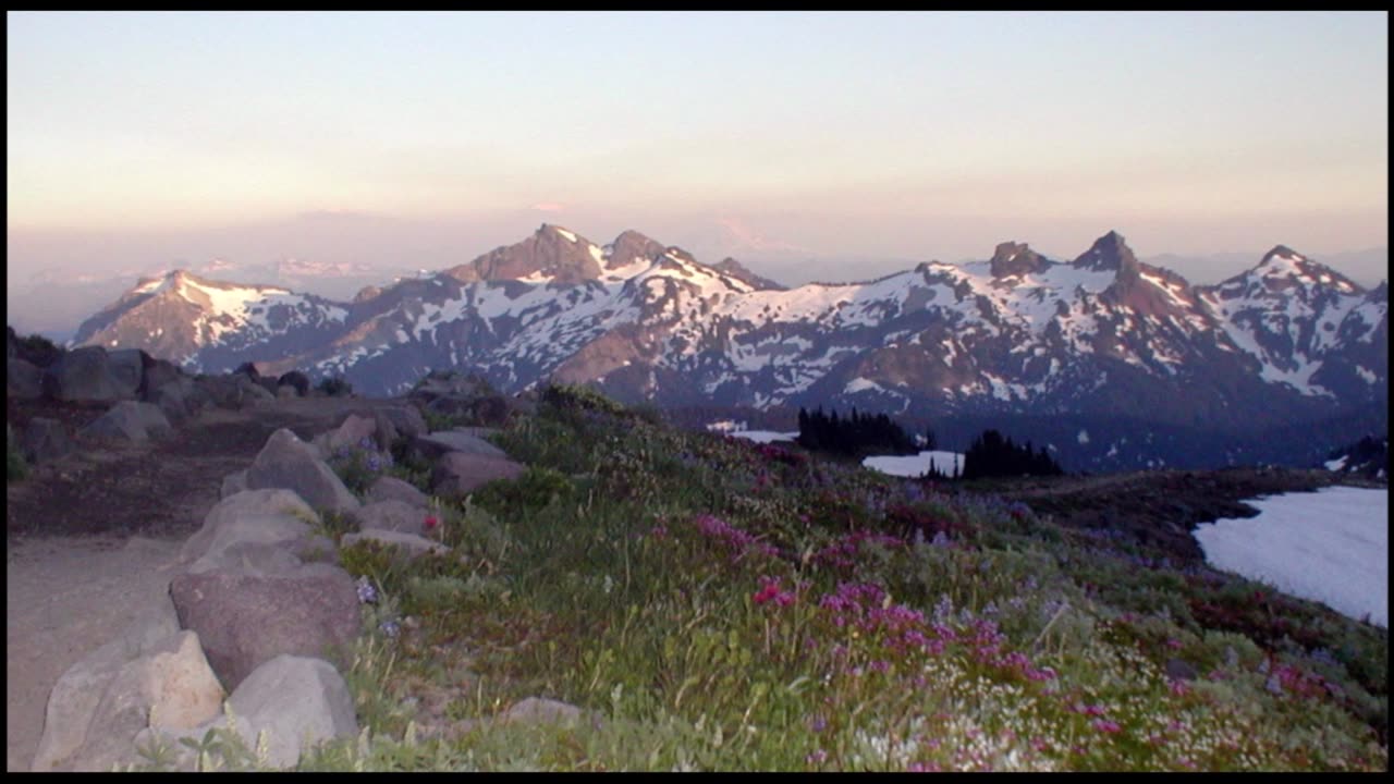 Mount Rainier - Camp Muir Hike (Over The Years)