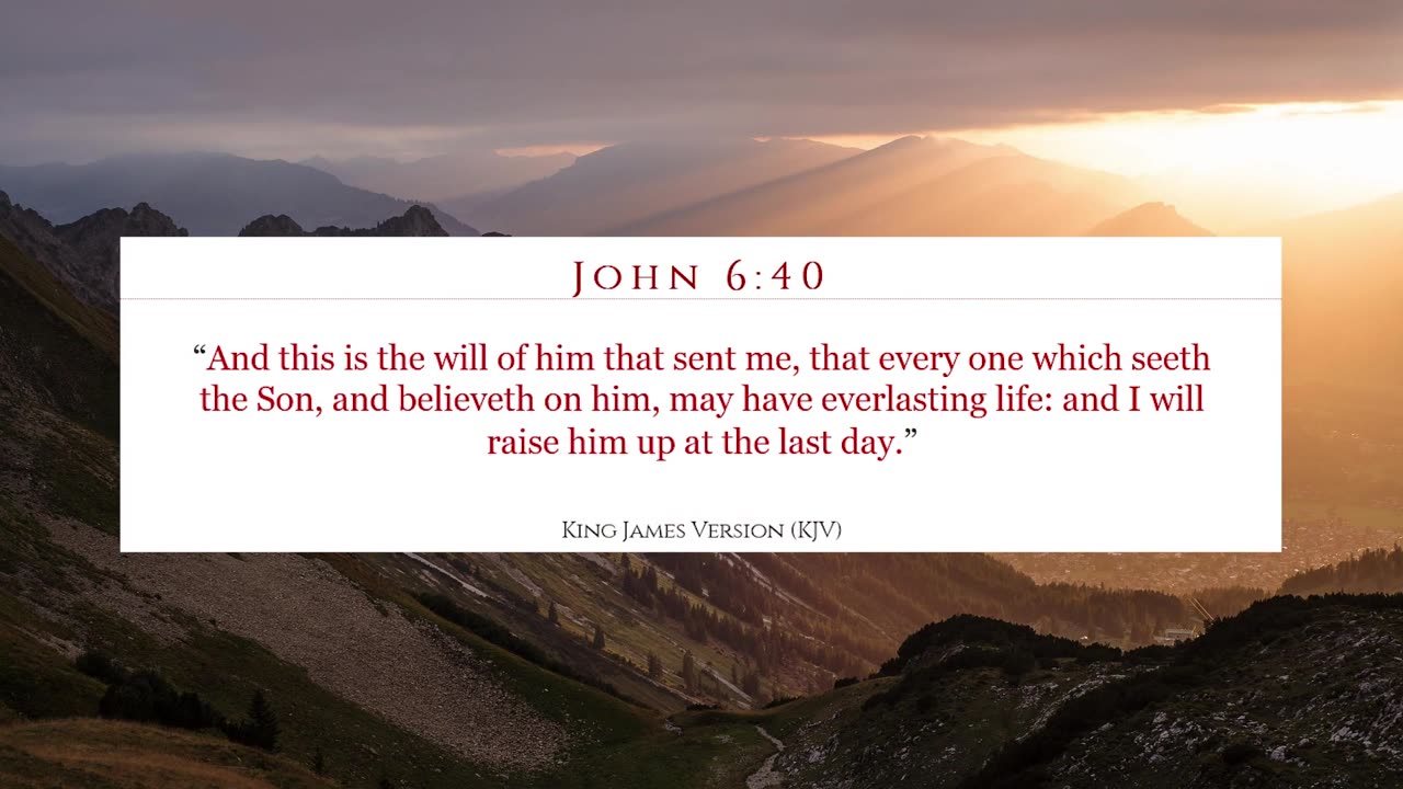 The Reason Trump Gets Away With Everything