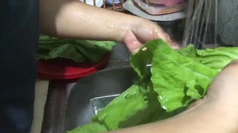 Tips & Tricks: How to Clean Mustard Greens Properly | Fresh & Ready to Cook Part 1