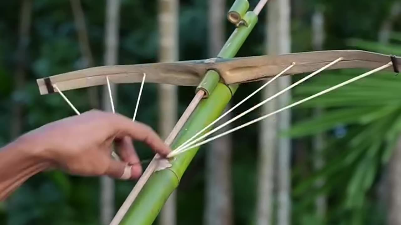 Bamboo slingshot using by your free time