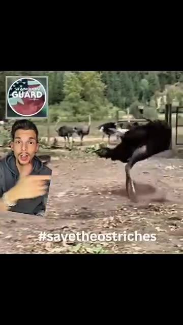 RED OCTOBER 🤔The new World War is here