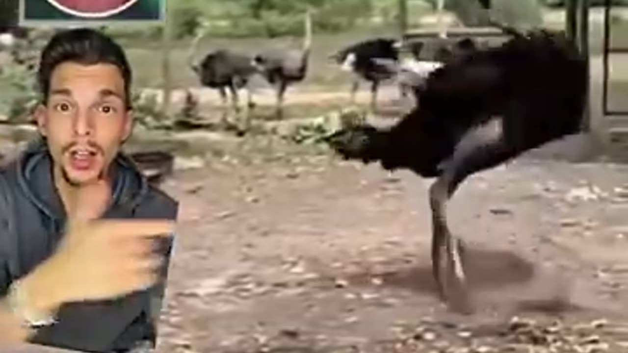 RED OCTOBER 🤔The new World War is here