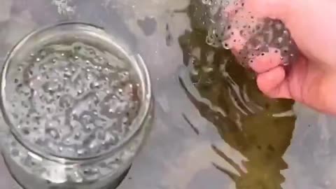 Frog army 30 days old (1 months) what happened in 1 month….