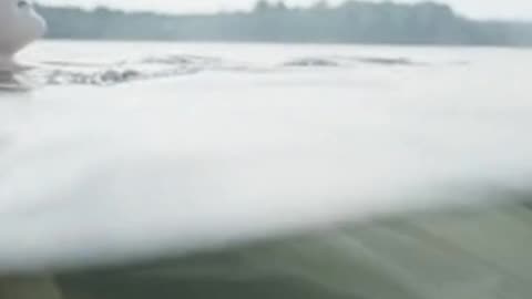 Daily Horoscope | Aquarius 🌟