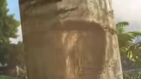 Ark M 2 Story #arksurvivalevolved #wildcard #ssd #storytime #bovcast