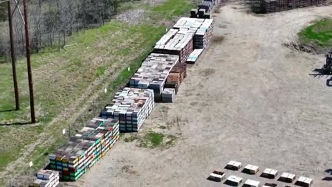 SOMETHING DESTROYING THE HONEYBEE COLONIES IN AMERICA