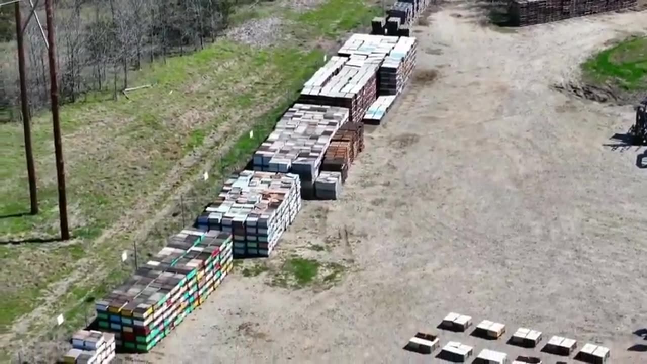 SOMETHING DESTROYING THE HONEYBEE COLONIES IN AMERICA