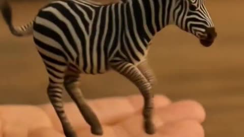 Tiny Zebra