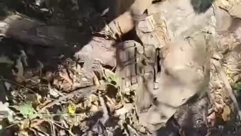 War in ukraine
