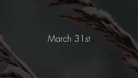 🌟📖 Monday's Prayer | A Morning Devotion for Strength | InGodWeTrustDaily