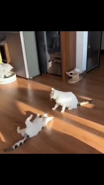 😂🐾 Funniest Pets Ever – Try Not to Laugh!