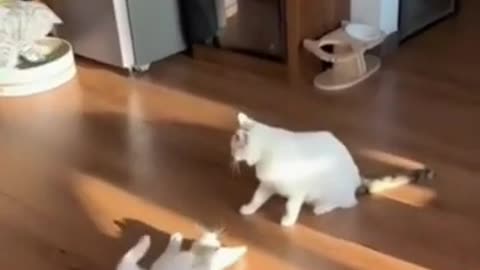 😂🐾 Funniest Pets Ever – Try Not to Laugh!