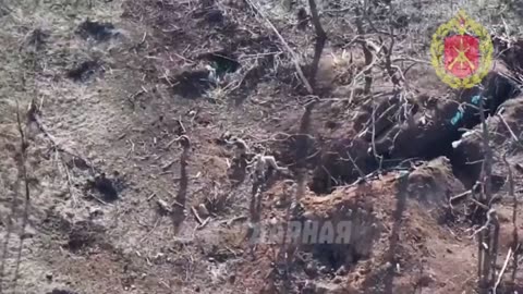 Ukraine war related/combat footage 11/24/25