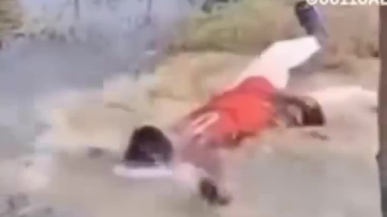 Laugh Till You Drop Compilation