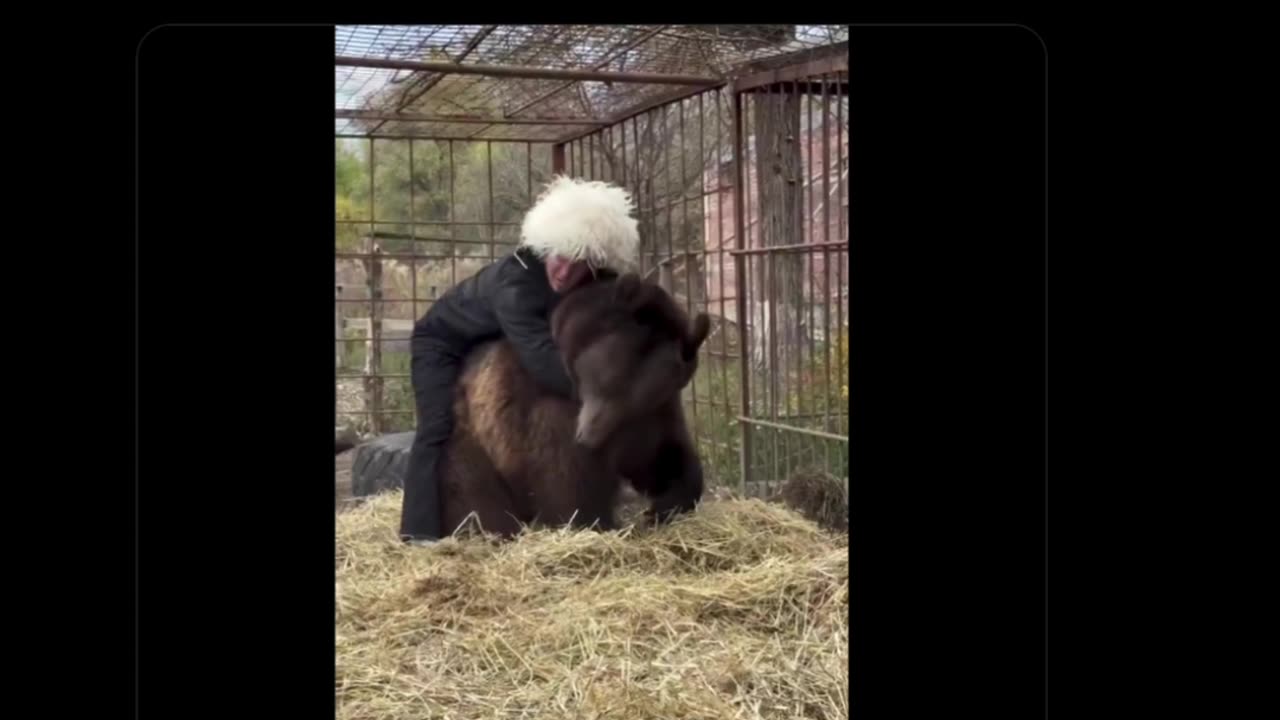 WYPIPO, Amirite?? • by DP • 11-07-2025