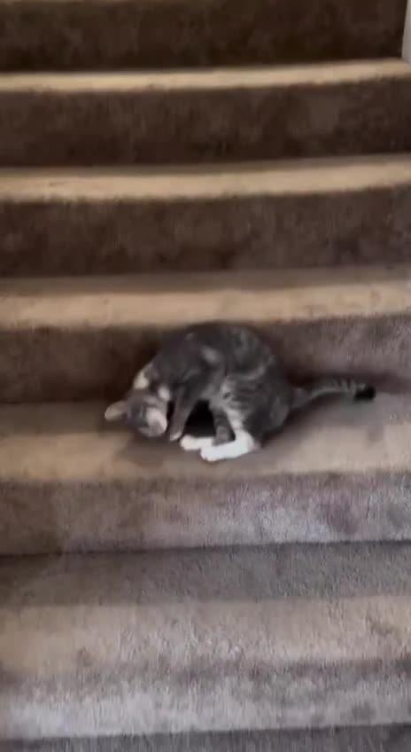 So looking forward to Monday