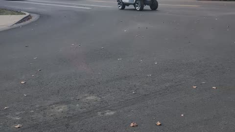 Police Chase Child Driving Allegedly Stolen Golf Cart