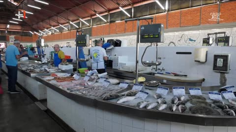🔴 Fado nos Mercados´25 (Olhão)