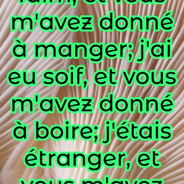 "L'Appel à l'Amour et à la Charité" Matthieu 25:35#shorts #youtube #jesus #ytshorts #youtubeshorts