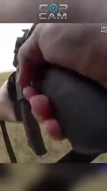 He Tried to Carjack a Driver on the Highway