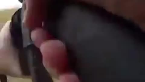 He Tried to Carjack a Driver on the Highway