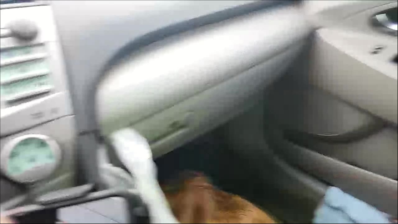 hanging with Bubba 🐕