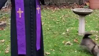 😂💕 When You Just Want to Bless That Cat! | FunFM