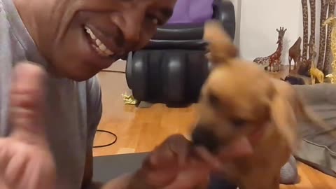 Lily The Super Dog: 🔥 Stop the Illegal Foreclosure #shorts