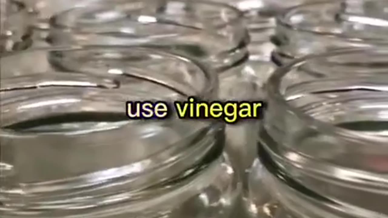 Vinegar And Canning