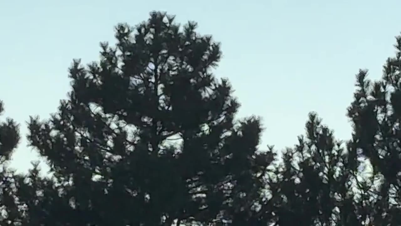 🤔🛸 What Could This Be? Boulder, CO | TheTruthAbove