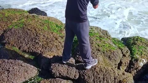 ¿cómo se llama este pescado?
