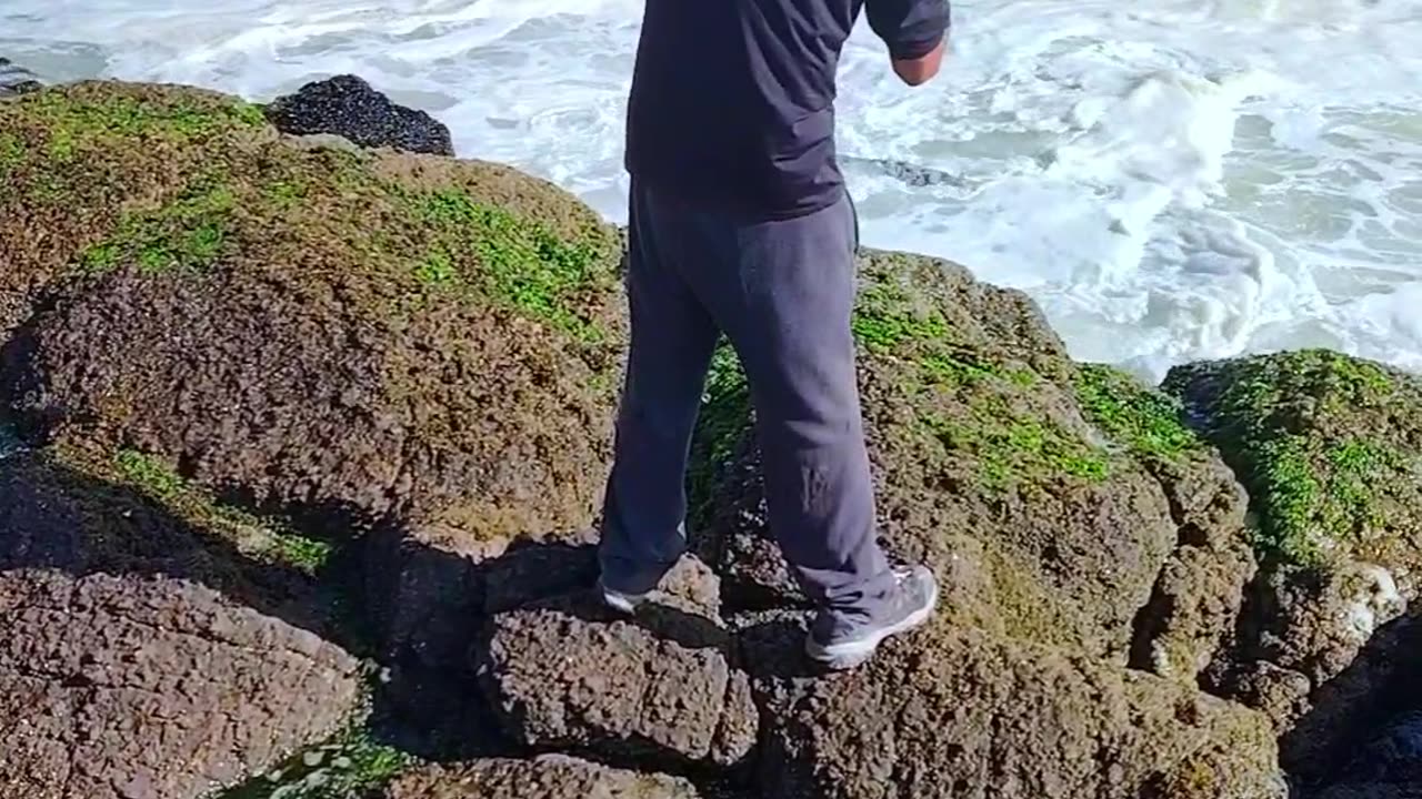 ¿cómo se llama este pescado?