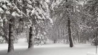 Snowfall ambiance with relaxing music