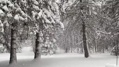 Snowfall ambiance with relaxing music