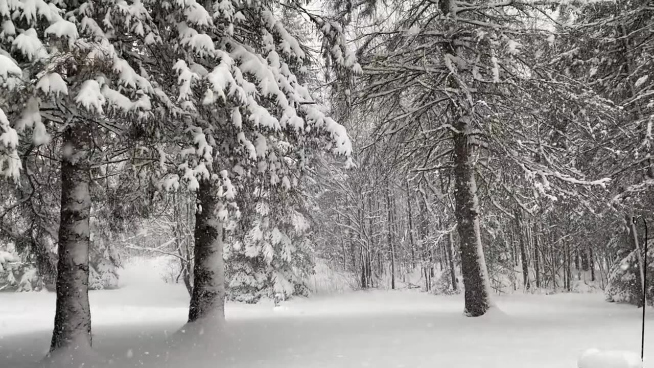 Snowfall ambiance with relaxing music