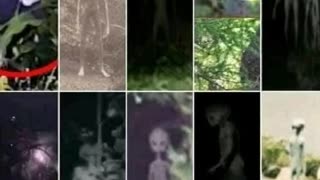 👽👽 Grey Aliens: Fact or Fiction?! | TheTruthAbove