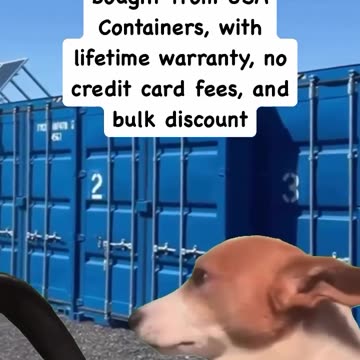 Even a dog knows its priorities! 🐶🚗 | USA Containers