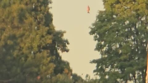 🤯 What Is This Mysterious Object? You Decide! | TheTruthAbove