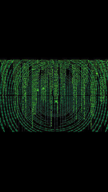 The system , the MATRIX,