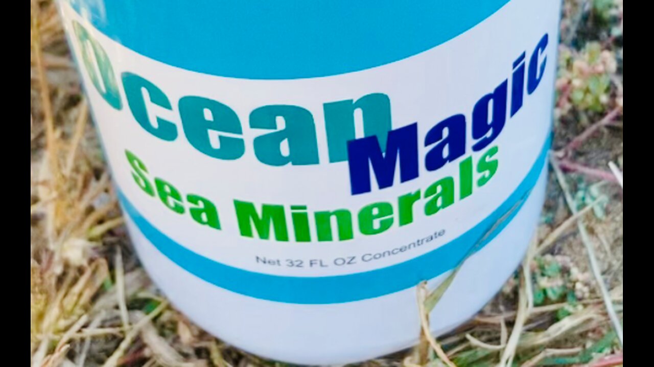 Ocean MAGIC fertilizer!!
