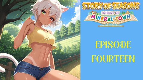 Story of Seasons Friends of Mineral Town - 14