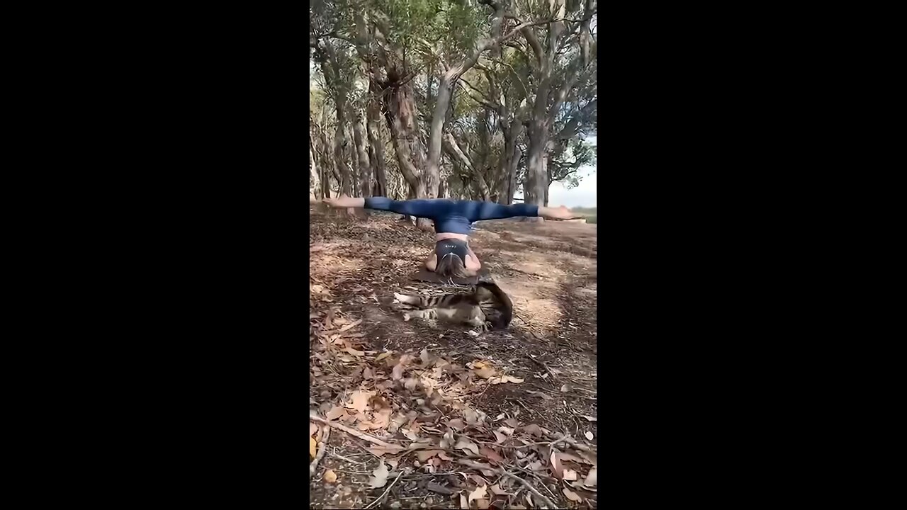 yoga flowing in the forest🌿